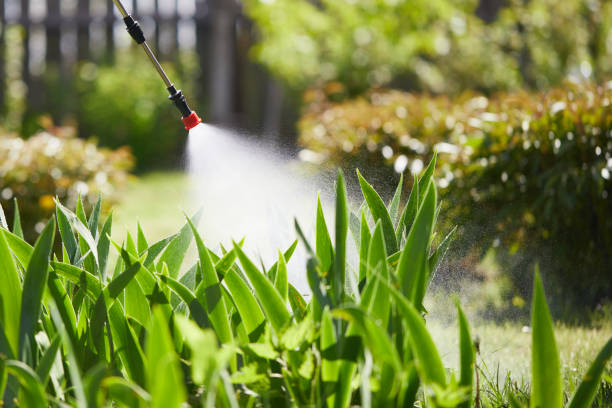 24/7 Emergency Ant Control experts in Eaton, OH